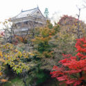 秋の上田城は紅葉と真田めぐりが楽しめる！周辺のおみやげ情報も