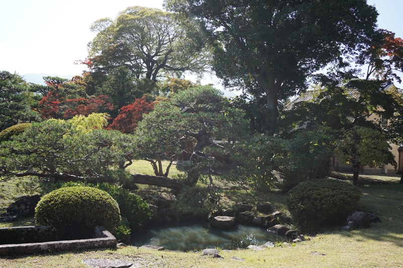 真田邸　日本庭園の様子