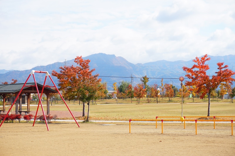 篠ノ井中央公園　ターザンロープ