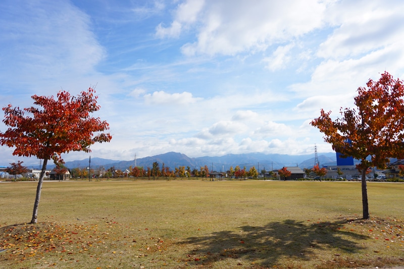 篠ノ井中央公園　芝生