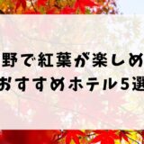 長野で紅葉が楽しめるホテルおすすめ5選！露天風呂付きの宿も紹介